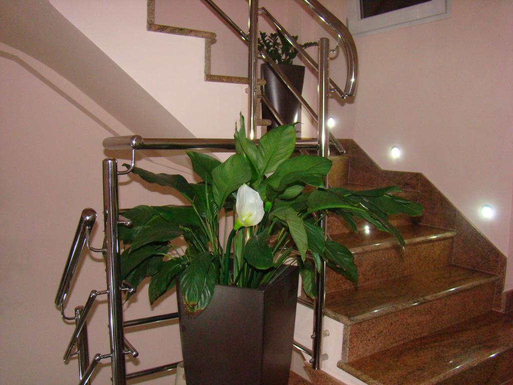 Apartments Ledic Krvavica Extérieur photo